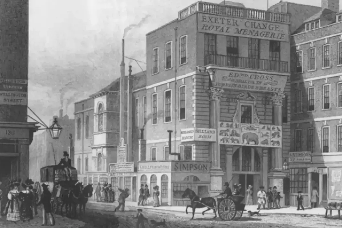 History Image